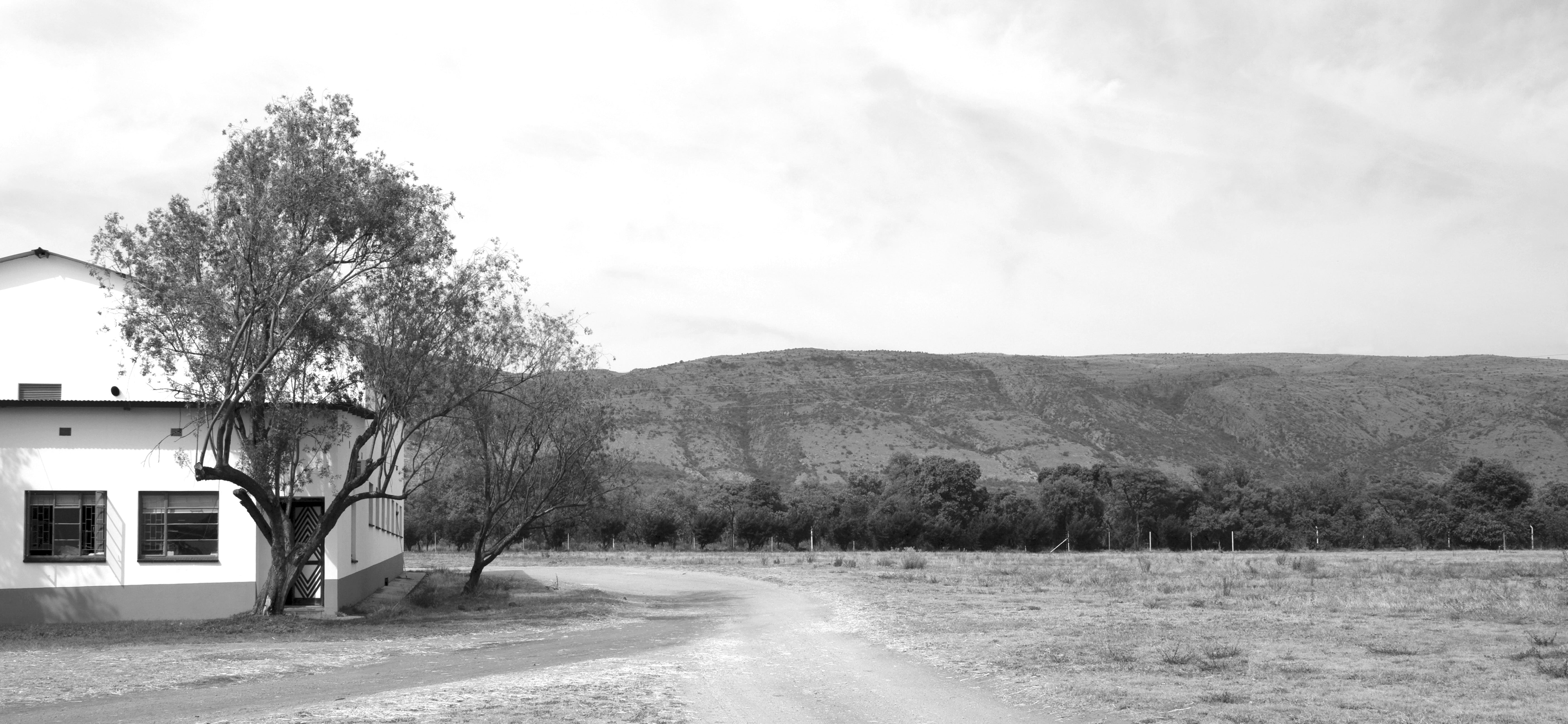 Black and white photo of a building with a tree in front and a hilly landscape in the background.